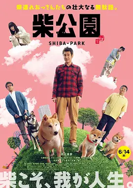 成人伊人青草久久综合网破解版