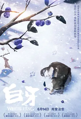 婷婷视频一区