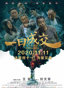 国产精品亚洲片在线播放