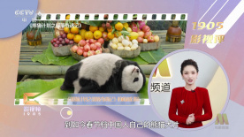 成人深夜福利视频