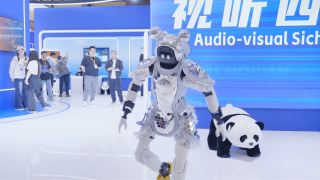 精品日韩在线视频一区二区三区